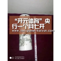“开元体育”央行一个月七开罚单 第三方支付监管力度空前(图3) 开云体育网站